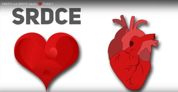 srdce